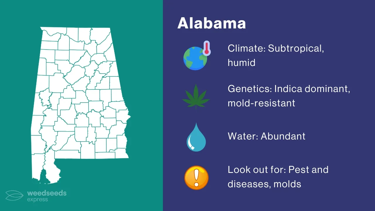 Alabama Cannabis Climate